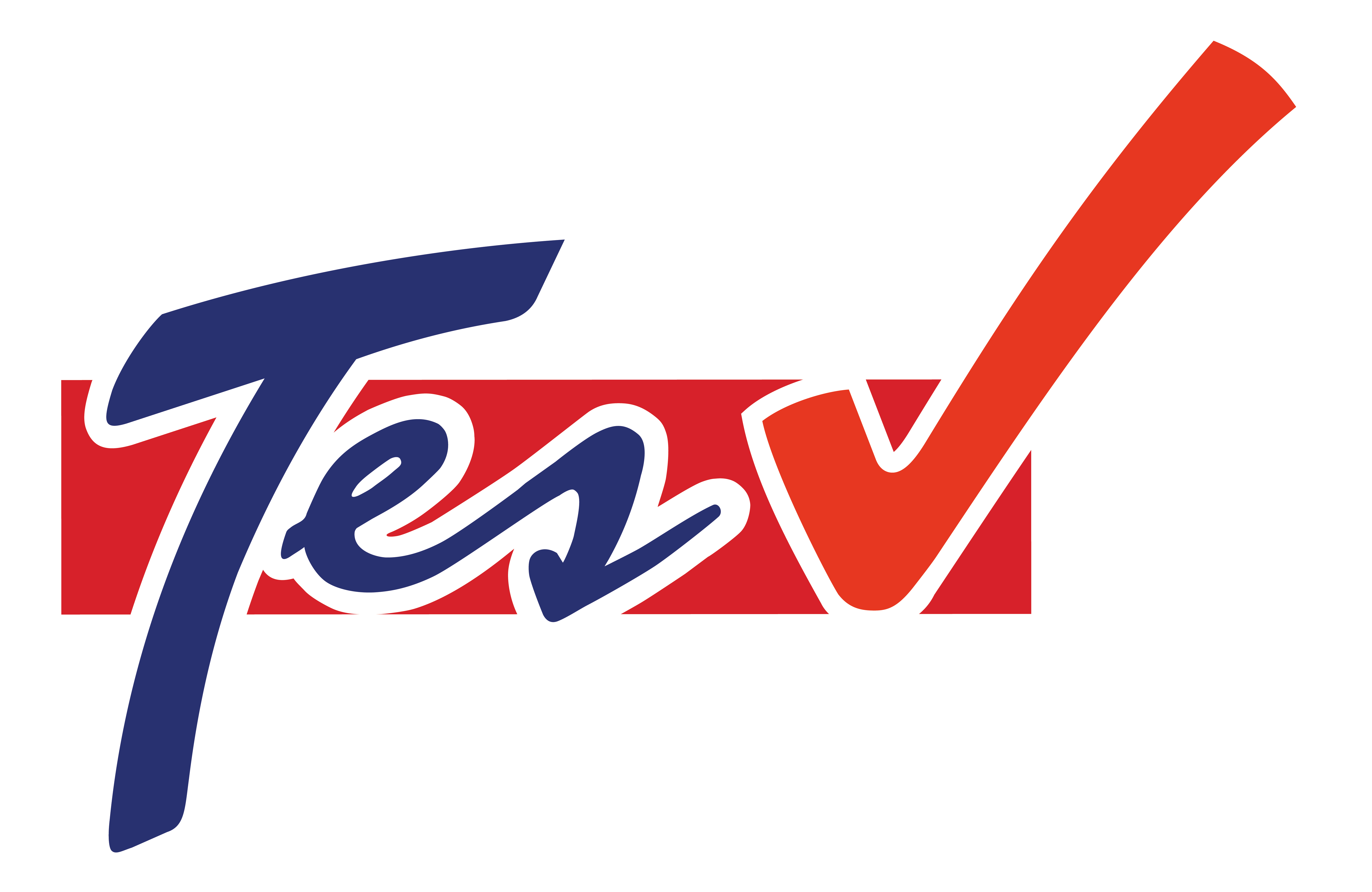 Logo TES
